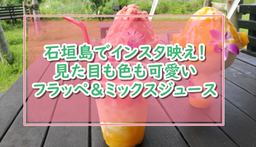 石垣島でインスタ映え満載!素晴らしい景色に新鮮フルーツフラッペが美味の「光楽園」
